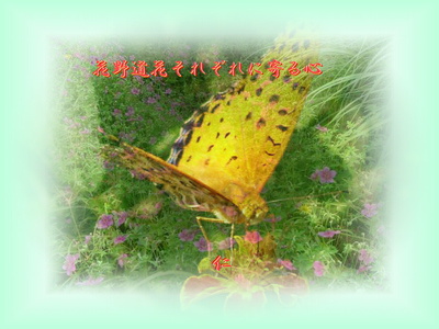 フォト575zr3001『 花野道花それぞれに寄る心 』tr2202 フォト575zr3001『 花野道花それぞれに寄る心 』tr2202