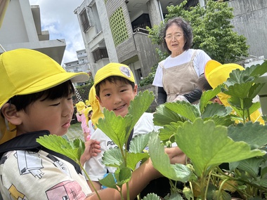 収穫したよ!!ぞう組 収穫したよ!!ぞう組