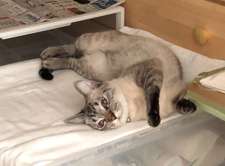 育てたいものに気づくこと 育てたいものに気づくこと