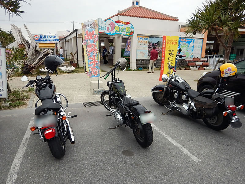 やんばる古宇利島へ、ハーレーダビッドソンで楽しくツーリング やんばる古宇利島へ、ハーレーダビッドソンで楽しくツーリング