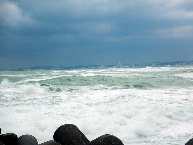 沖縄・宜野湾地域も冬模様。強風の為、バイクを断念し海浜公園を散歩