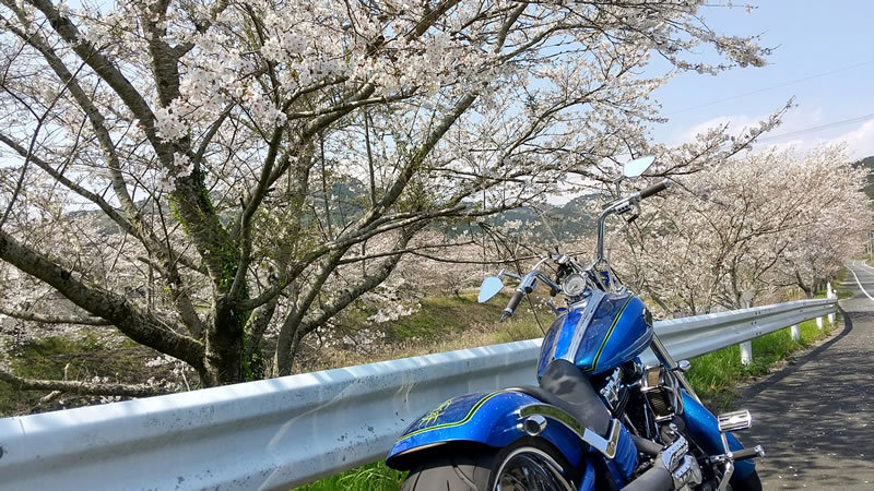 趣味はバイク!気温は激アツ、気分爽快スッキリツーリング 趣味はバイク!気温は激アツ、気分爽快スッキリツーリング