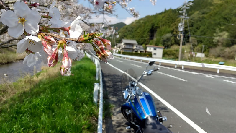 趣味はバイク!気温は激アツ、気分爽快スッキリツーリング 趣味はバイク!気温は激アツ、気分爽快スッキリツーリング