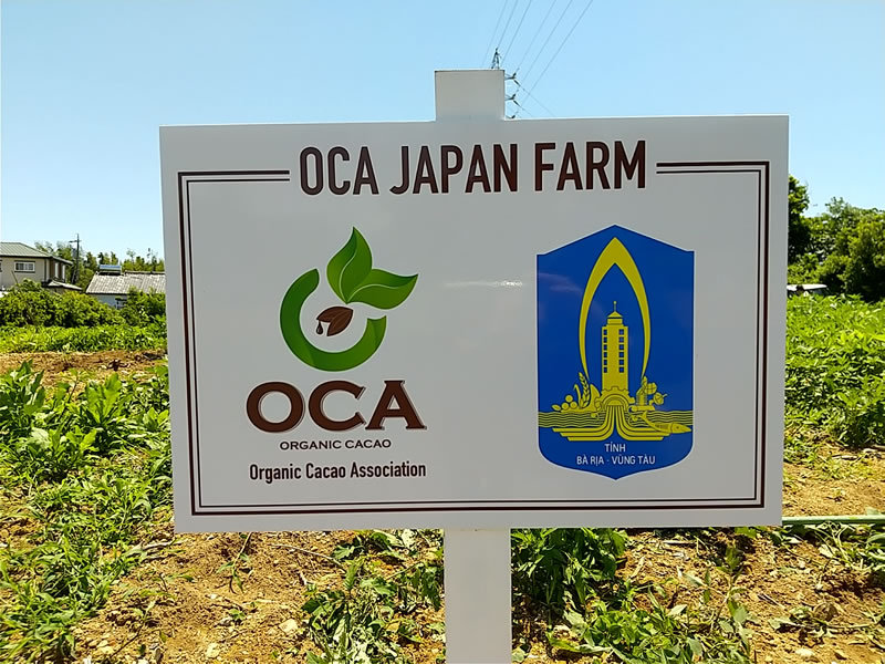 OCA FARM に自動収穫用の成木（柑橘系果樹）を移植した