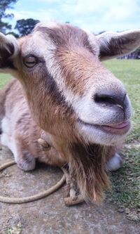ビオスの丘☆