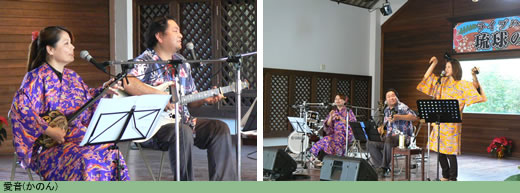 南西楽園大感謝祭2008