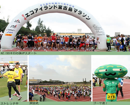 エコアイランド宮古島マラソン2010