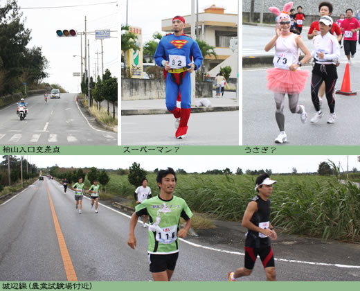 エコアイランド宮古島マラソン2010
