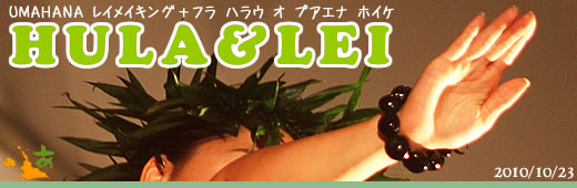 HULA& LEI レイメイキング+フラ ホイケ in 宮古