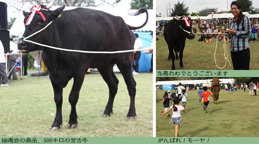 第1回宮古牛まつり