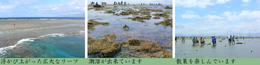 幻の大陸 八重干瀬-ヤビジ-上陸作戦2009