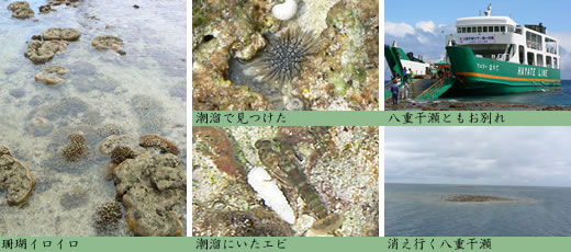 幻の大陸 八重干瀬-ヤビジ-上陸作戦2009