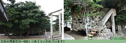 TSUNAMI 1771-続・明和の大津波-