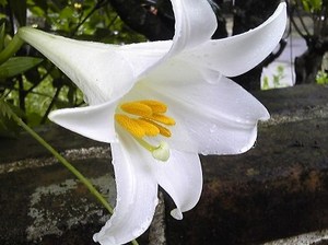 あ痛たたたっ