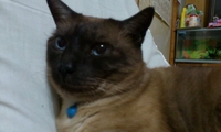 2012年05月17日