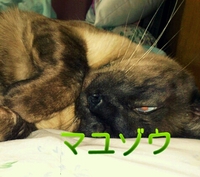 2012年05月12日