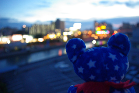 あの光は全部ボクの為のものじゃないんだな… 夜景をバックにあおいくま