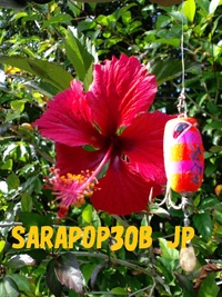 ☆SARAPEN45ゲット♪☆ 2010/11/20 00:12:12