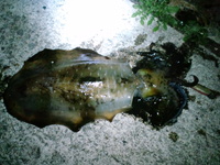 ☆キロＵＰ4発♪☆ 2011/01/25 18:12:45