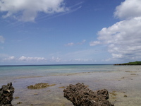 ☆リーフに出撃２☆ 2011/05/20 12:48:00