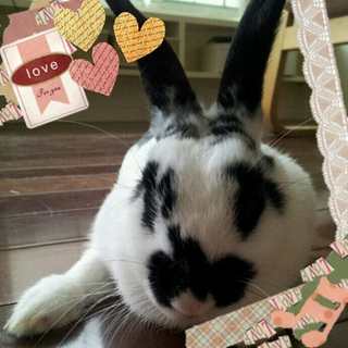 めりぃのこと