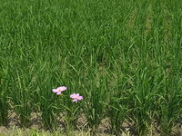 2012年05月20日