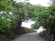 沖縄観光