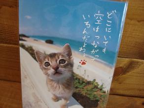 ハガキ