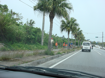 100キロサイクリング