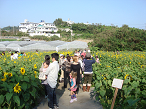 バスツアー