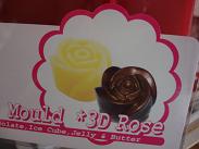 Silicone Mould