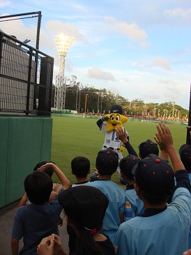 野球観戦