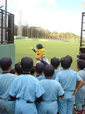 野球観戦