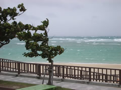 台風14号