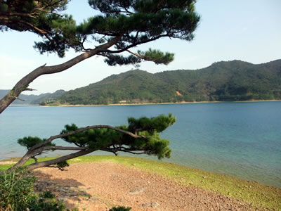 奄美大島に初上陸