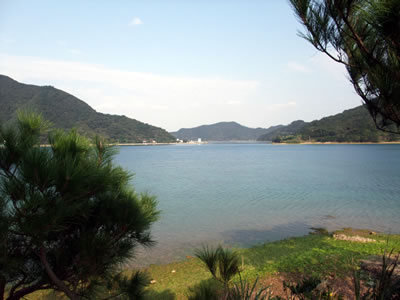 奄美大島に初上陸