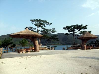 奄美大島に初上陸