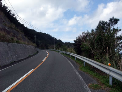 奄美大島をバイクツーリングしたいぞー