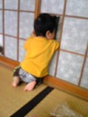 今日はヨガ日和