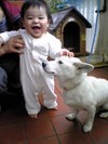 愛犬タロ
