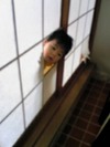 今日はヨガ日和