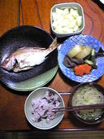 てんしんお食い始め