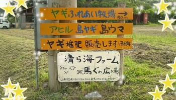 ☆浜比嘉島ヤギ牧場☆