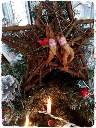 食堂APOLLO・もうすぐクリスマス・・・・・ 食堂APOLLO・もうすぐクリスマス・・・・・