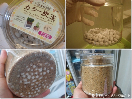 ★沖縄兜虫踊化 & オキヒラ菌糸投入 & 菌糸詰め