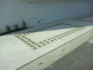 APOLLOのあったかいお話・・・