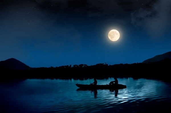 月を眺めながら、夜の静寂を堪能