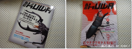 ◆C&A & 37系♂蛹化 & ボウズ & be-kuwa秋号