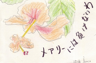 台風一過