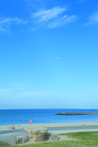 美らsunビーチで爽やかな青空撮影